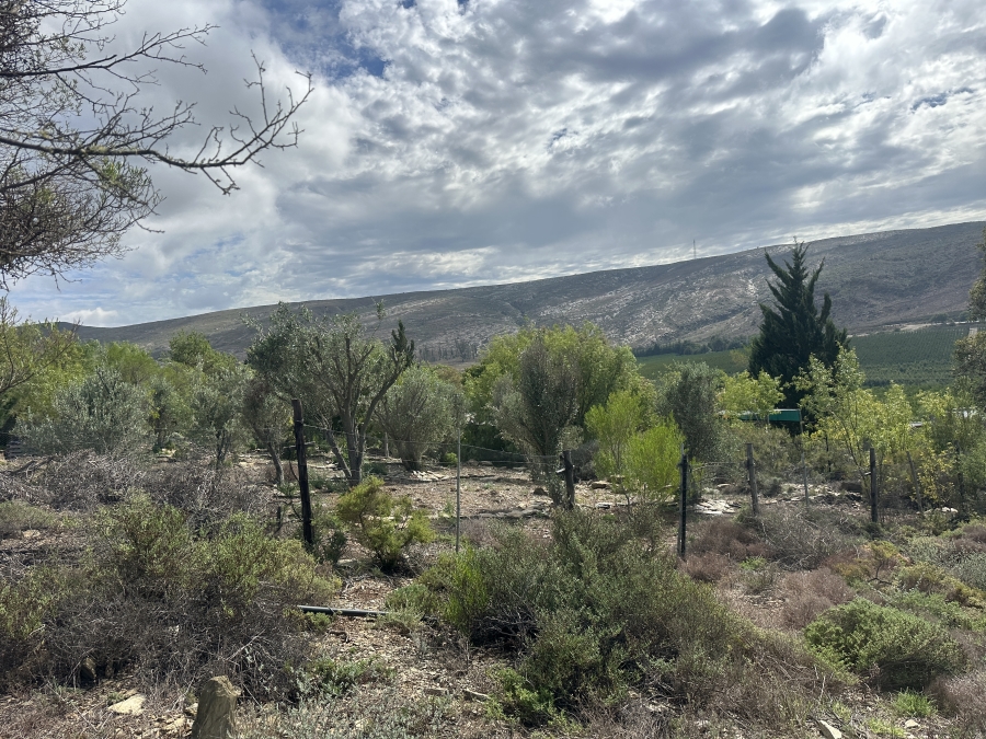 0 Bedroom Property for Sale in Barrydale Western Cape